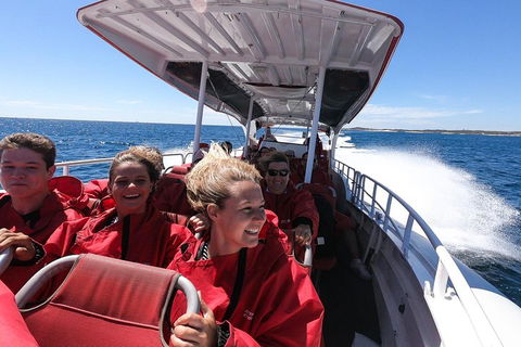 Adventure Rottnest Tour With Ferry & Adventure Cruise From Perth Or Fremantle - Great Ocean Road Tourism 0