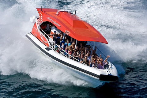 Adventure Rottnest Tour With Ferry & Adventure Cruise From Perth Or Fremantle - Great Ocean Road Tourism 2
