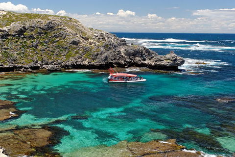 Adventure Rottnest Tour With Ferry & Adventure Cruise From Perth Or Fremantle - Great Ocean Road Tourism 5