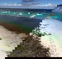 Experience Rottnest with Ferry  Bike Hire from Perth or Fremantle - Great Ocean Road Tourism