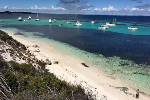 Experience Rottnest With Ferry & Bike Hire From Perth Or Fremantle - Great Ocean Road Tourism 0