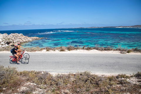 Experience Rottnest With Ferry & Bike Hire From Perth Or Fremantle - Great Ocean Road Tourism 2