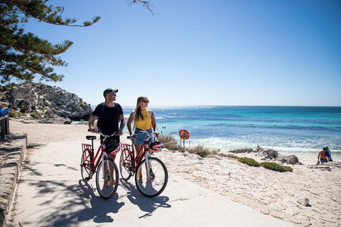 Experience Rottnest With Ferry & Bike Hire From Perth Or Fremantle - Great Ocean Road Tourism 4