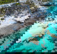 Rottnest Island Round-Trip Ferry from Perth or Fremantle - Great Ocean Road Tourism