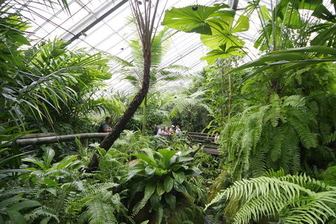 Australian Butterfly Sanctuary - Great Ocean Road Tourism 3