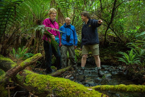 Bruny Island Traveller - Gourmet Tasting And Sightseeing Day Trip From Hobart - Great Ocean Road Tourism 1