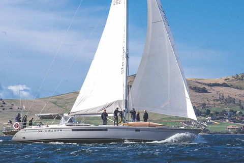 Half-Day Sailing On The Derwent River From Hobart - Great Ocean Road Tourism 1