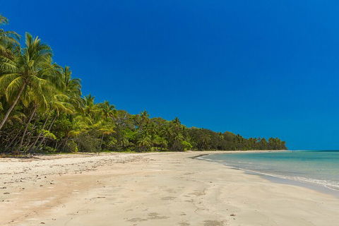 Ocean Safari Great Barrier Reef Experience In Cape Tribulation - Great Ocean Road Tourism 4