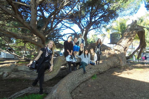 1/2 Day Swan Valley Wine Cheese & Chocolate Tour Inc Afternoon Cruise To Perth - Great Ocean Road Tourism 0