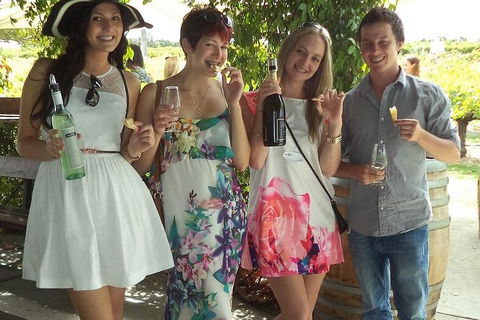 1/2 Day Swan Valley Wine Cheese & Chocolate Tour Inc Afternoon Cruise To Perth - Great Ocean Road Tourism 4