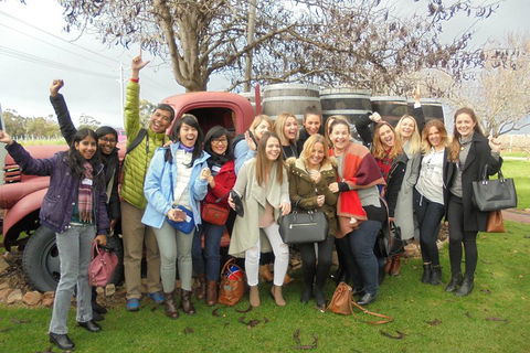 1/2 Day Swan Valley Wine Cheese & Chocolate Tour Inc Afternoon Cruise To Perth - Great Ocean Road Tourism 5