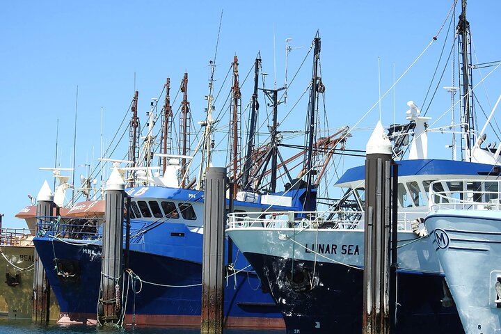  Great Ocean Road Tourism