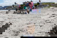 Book Viator Accommodation Vacations Great Ocean Road Tourism Great Ocean Road Tourism