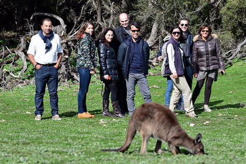 2-Day Kangaroo Island 4WD Small-Group Tour From Adelaide - Great Ocean Road Tourism 1