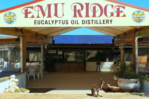 2 Day Ultimate Kangaroo Island With Return Ferry - Great Ocean Road Tourism 3