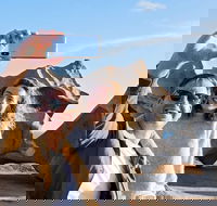 Full-Day Kangaroo Island Experience Departing from Kangaroo Island - Great Ocean Road Tourism