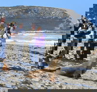 Full day Seal Bay Experience departing from Kangaroo Island - Great Ocean Road Tourism