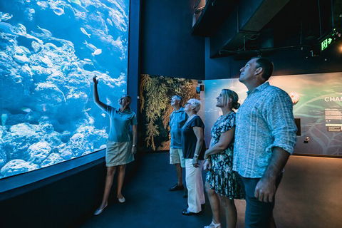 Cairns Aquarium By Twilight With 3-Course Dinner - Great Ocean Road Tourism 1