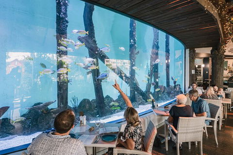Cairns Aquarium By Twilight With 3-Course Dinner - Great Ocean Road Tourism 4
