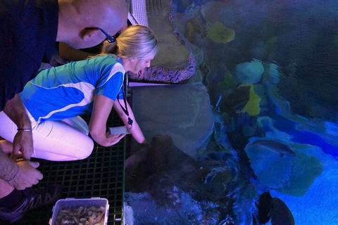 Cairns Aquarium Marine Life Encounter Ticket With 2-Course Lunch - Great Ocean Road Tourism 2