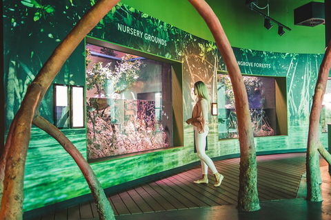 Cairns Aquarium Marine Life Encounter Ticket With 2-Course Lunch - Great Ocean Road Tourism 3