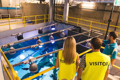Cairns Aquarium Marine Life Encounter Ticket With 2-Course Lunch - Great Ocean Road Tourism 5