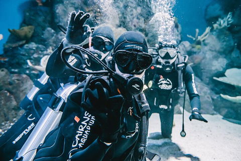 Cairns Aquarium Dive With The Sharks - Great Ocean Road Tourism 3
