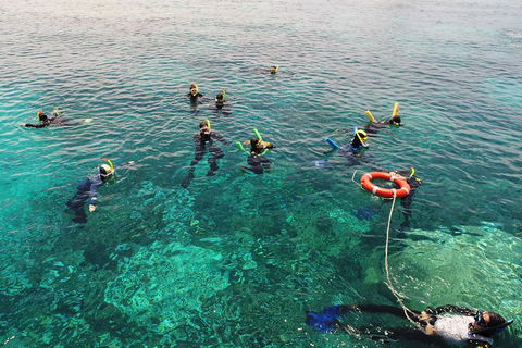 Seastar Luxury Outer Great Barrier Reef Island And Reef Tour From Cairns - Great Ocean Road Tourism 2