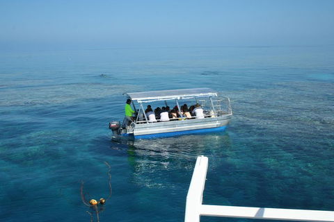 Seastar Luxury Outer Great Barrier Reef Island And Reef Tour From Cairns - Great Ocean Road Tourism 5
