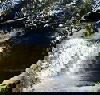 Cradle Mountain Day Tour from Launceston Including Lunch