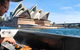 Sydney Whale-Watching Cruise Including Lunch Or Breakfast - thumb 3