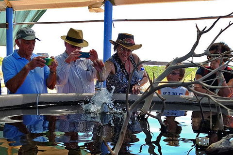 Cape Leveque 4WD Tour From Broome With Optional Return Flight - Great Ocean Road Tourism 0