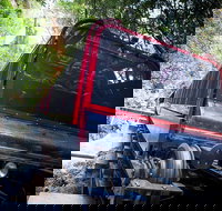 Blue Mountains Hop-on Hop-off Tour with Optional Scenic World Rides - Great Ocean Road Tourism