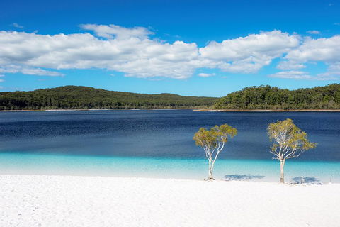 All-Inclusive Fraser Island Day Tour - Great Ocean Road Tourism 3
