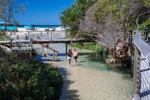 All-Inclusive Fraser Island Day Tour - Great Ocean Road Tourism 4