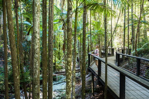 All-Inclusive Fraser Island Day Tour - Great Ocean Road Tourism 5
