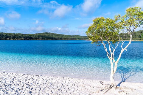 Lake McKenzie Full-Day Tour With Lunch From Hervey Bay - Great Ocean Road Tourism 1