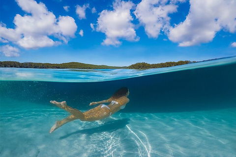 Lake McKenzie Full-Day Tour With Lunch From Hervey Bay - Great Ocean Road Tourism 5