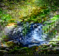 Day Tour in Mt. Field Mt. Wellington Bonorong Wildlife Sanctuary and Richmond - Great Ocean Road Tourism