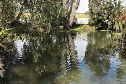 Perth East Foreshore And City Segway Tour - Great Ocean Road Tourism 1