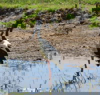 Darwin to Kakadu Day Trip by Air Including Yellow Water Cruise - Great Ocean Road Tourism