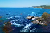 Julian Rocks Byron Bay Cruise