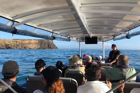 Julian Rocks Byron Bay Cruise - Great Ocean Road Tourism 4