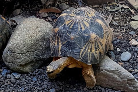 Hartley's Crocodile Adventures General Entry Ticket - Great Ocean Road Tourism 2