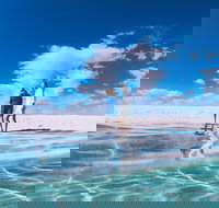 4-Day Coastal Loop via Monkey Mia Wild Dolphins Kalbarri Pinnacles Perth Return - Great Ocean Road Tourism