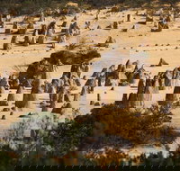 Pinnacles Sunset Dinner and Stargazing Experience a Small Group Tour - Great Ocean Road Tourism