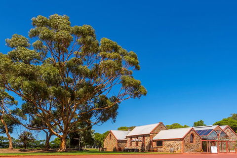 McLaren Vale And Glenelg Wine Tasting And Sightseeing (Half-day Afternoon) - Great Ocean Road Tourism 5