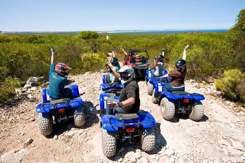 Kangaroo Island Quad Bike (ATV) Tours - Great Ocean Road Tourism 3