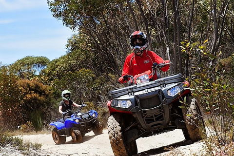 Kangaroo Island Quad Bike (ATV) Tours - Great Ocean Road Tourism 5
