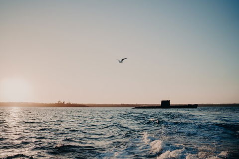 Phillip Island Twilight Cruise - Great Ocean Road Tourism 1